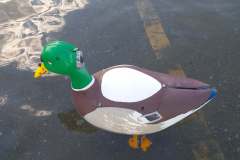 2021_CyberDuck_07