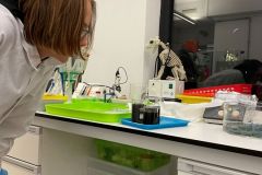 IMG-6019